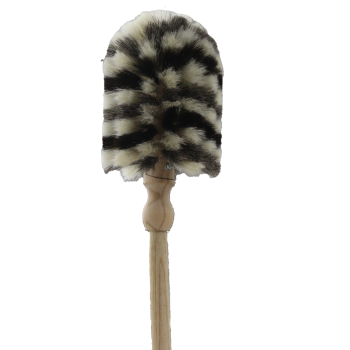 Ein Spinnenfeger mit Zebra Muster in frontaler Ansicht