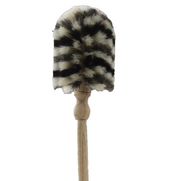 Ein Spinnenfeger mit Zebra Muster in frontaler Ansicht